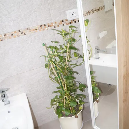 Marea インペリア